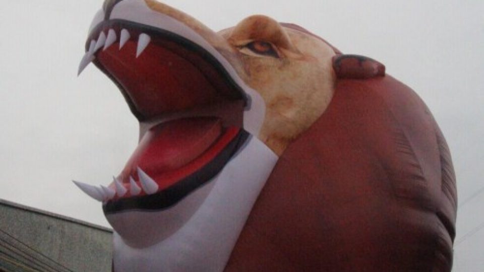 Löwe-aufblasbar-500×417