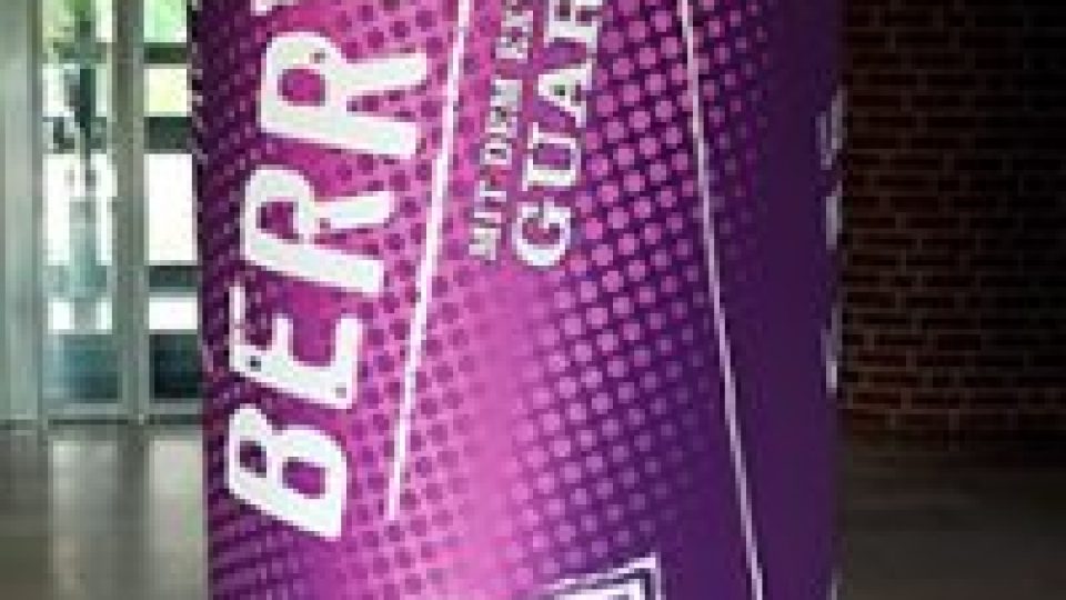 easy-up-veltinsberryx1-1-200×200