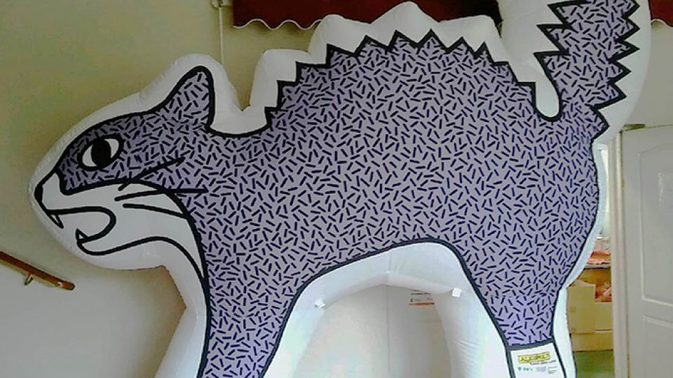 cat-inflatable-hangover