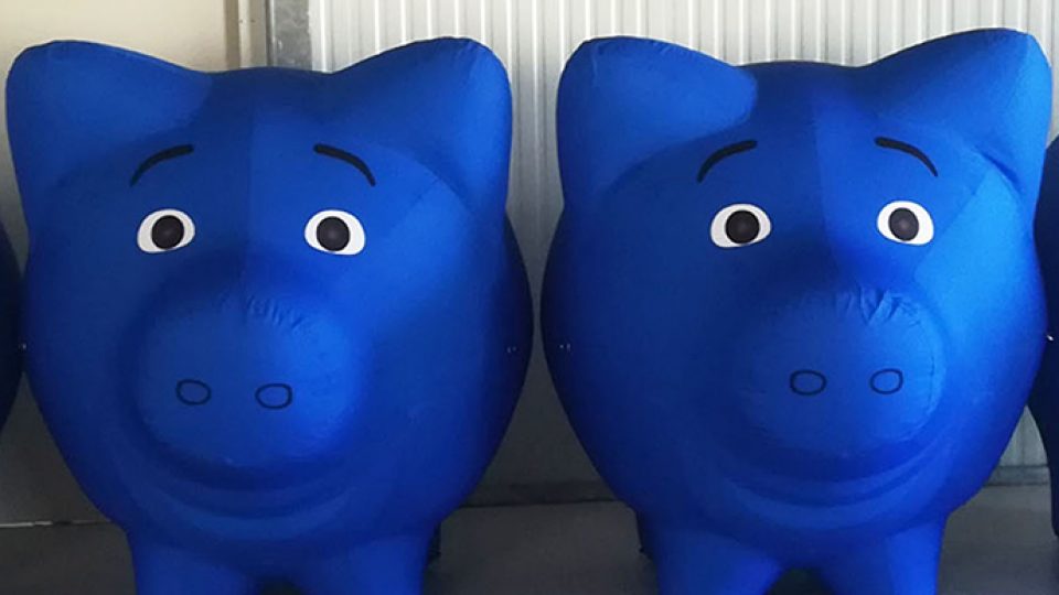 inflatable pigs