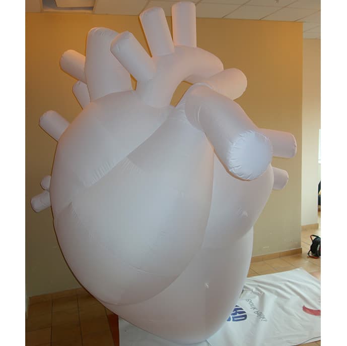 anatomic_heart_inflatable