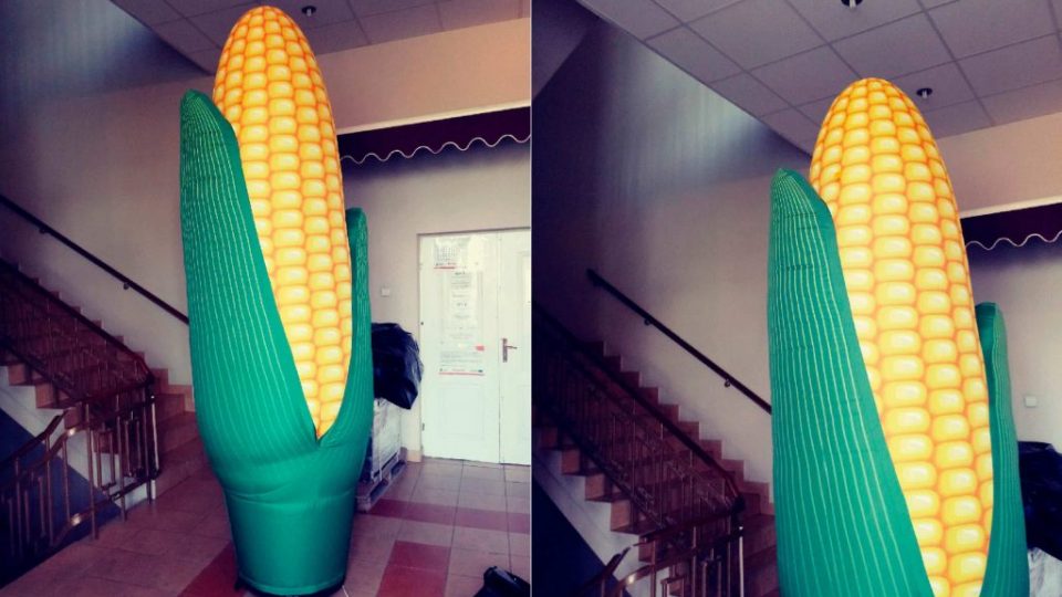inflatable_swift_up_corn