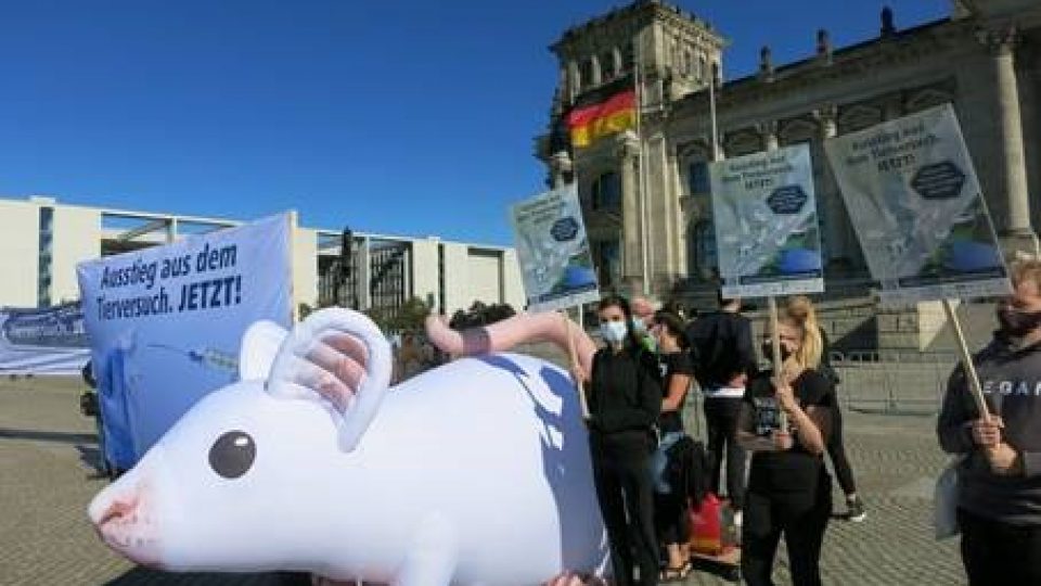 inflatable mouse xxl