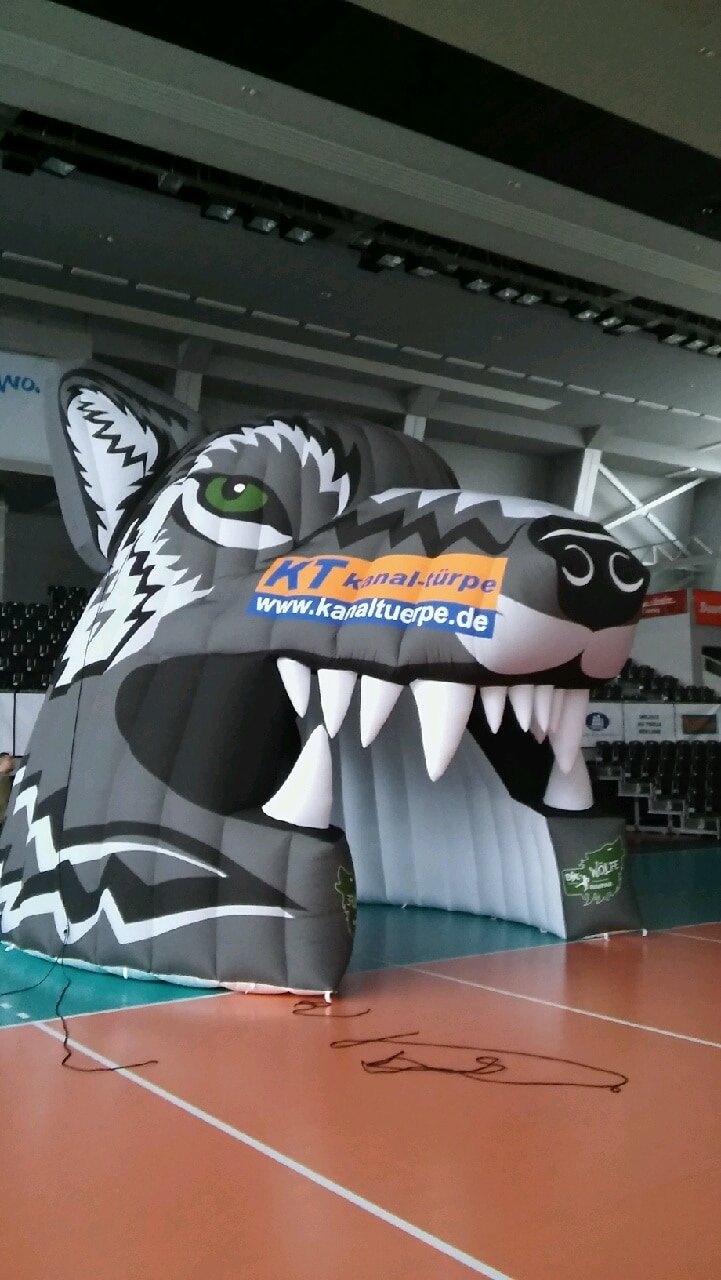 Einlauftunnel-Wolf-500×282