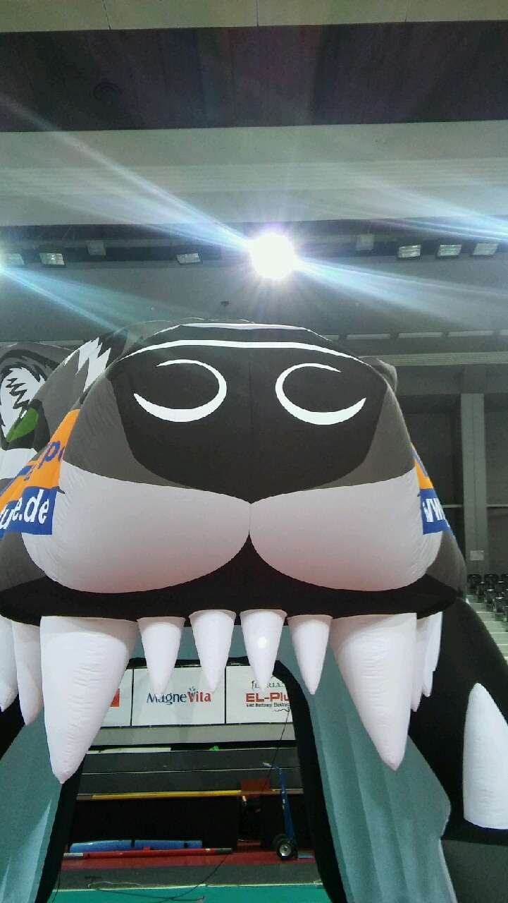 Einlauftunnel-Wolf-500×282